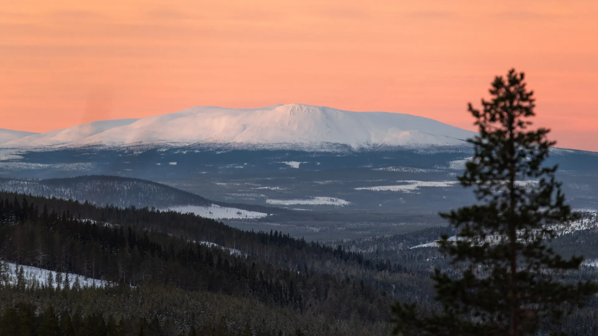 Snöklätt fjäll i kvällsljus över Vemdalen